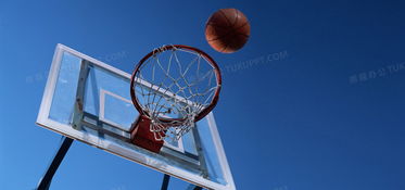 体育运动篮球篮球框篮球架仰视蓝天背景背景图片素材免费下载 jpg格式 熊猫办公